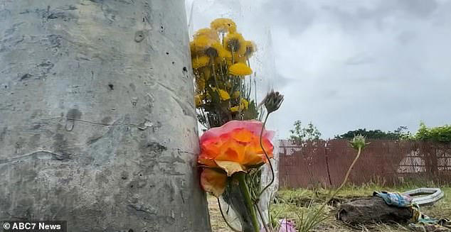 Sandy Evans, another local who heard about the fatal crash, left flowers at the scene 