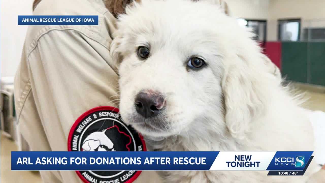 Animal Rescue League of Iowa rescues 23 dogs from neglect