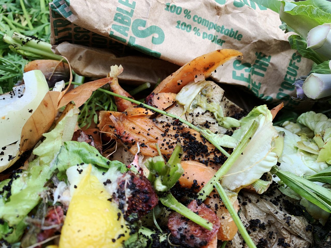 coffee grounds in a compost pile