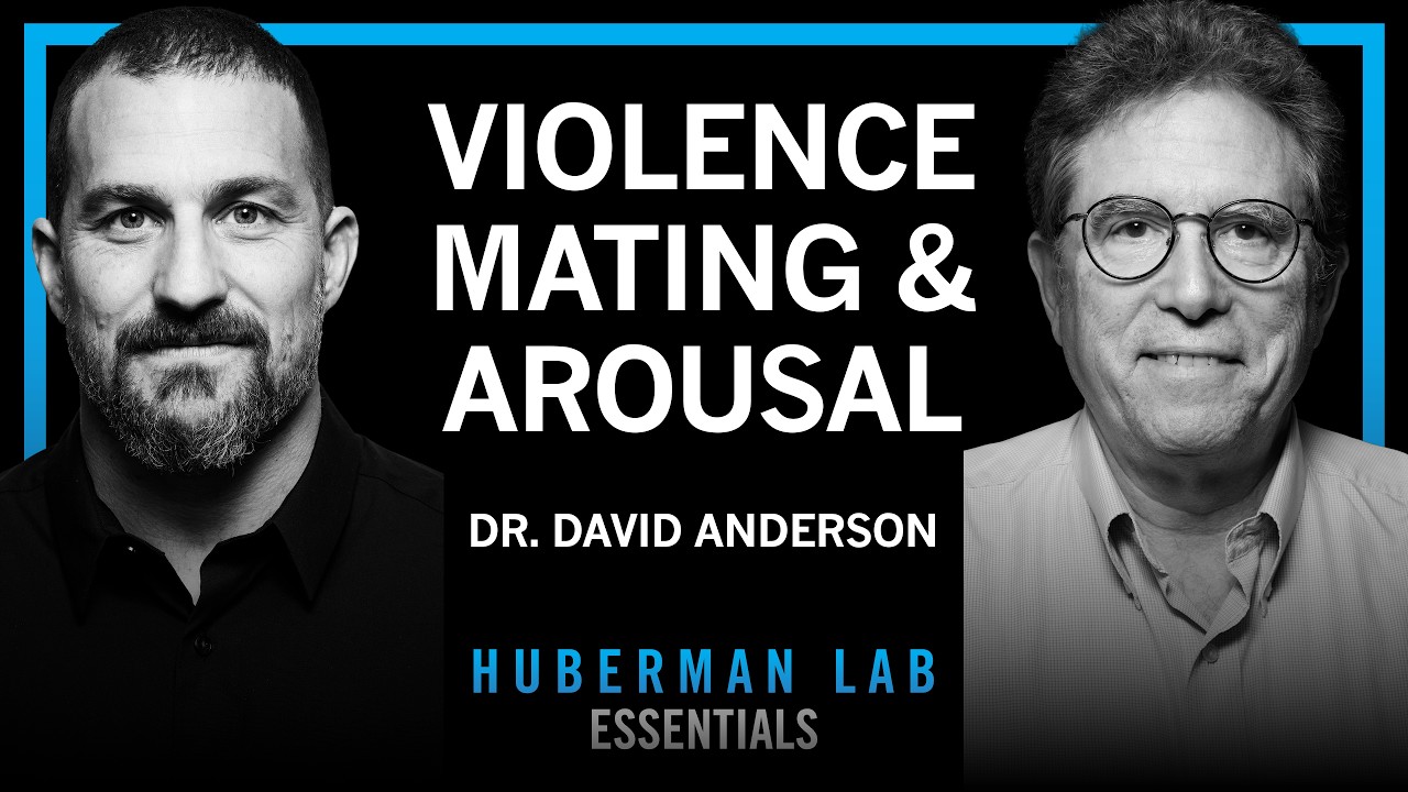 Essentials: The biology of aggression, mating & arousal | Dr. David ...