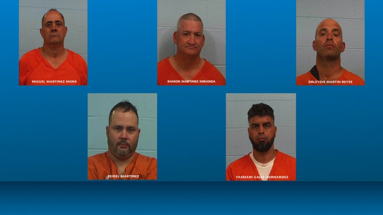 Five arrested in Williamson County cattle theft ring tied to 70 stolen ...
