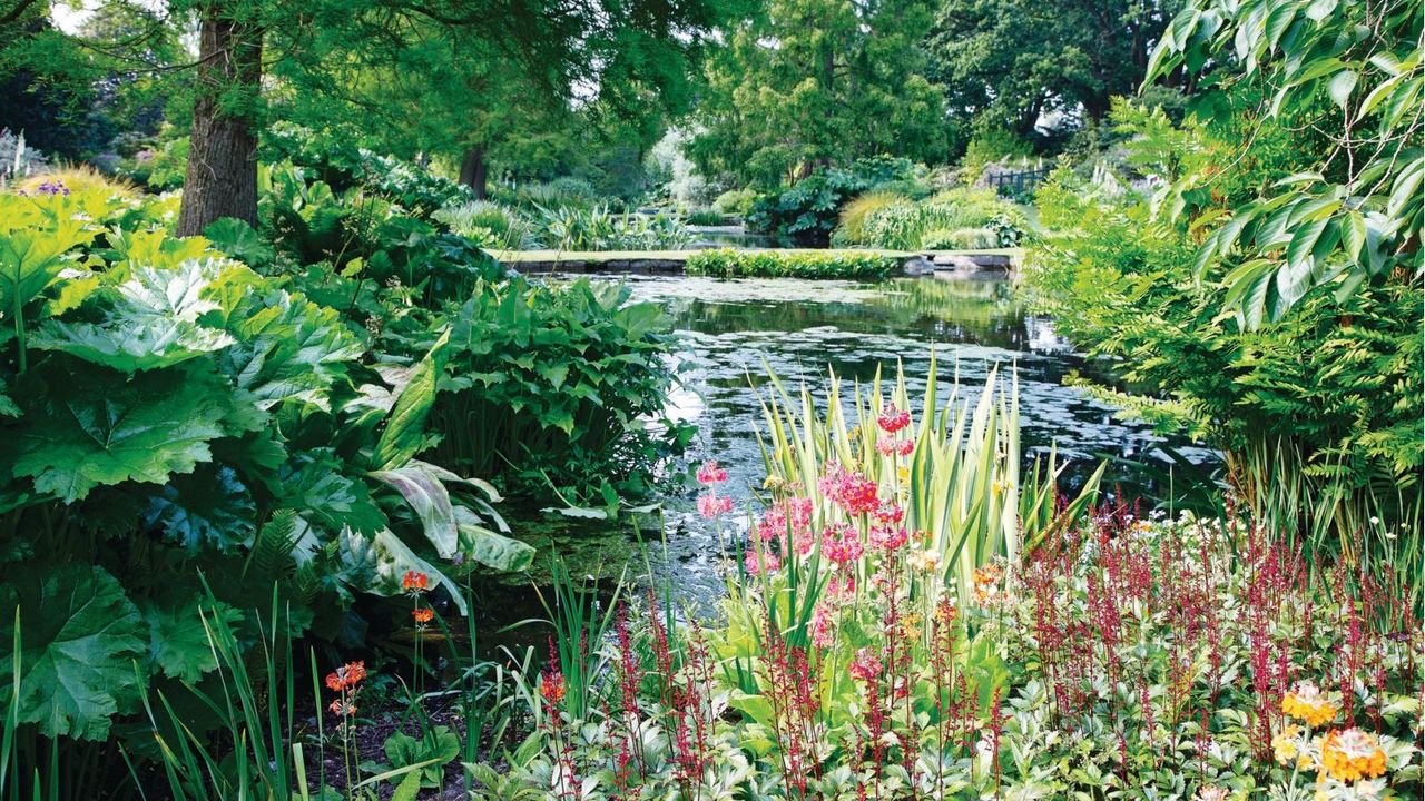 A frog house is the one wildlife feature missing from your garden pond