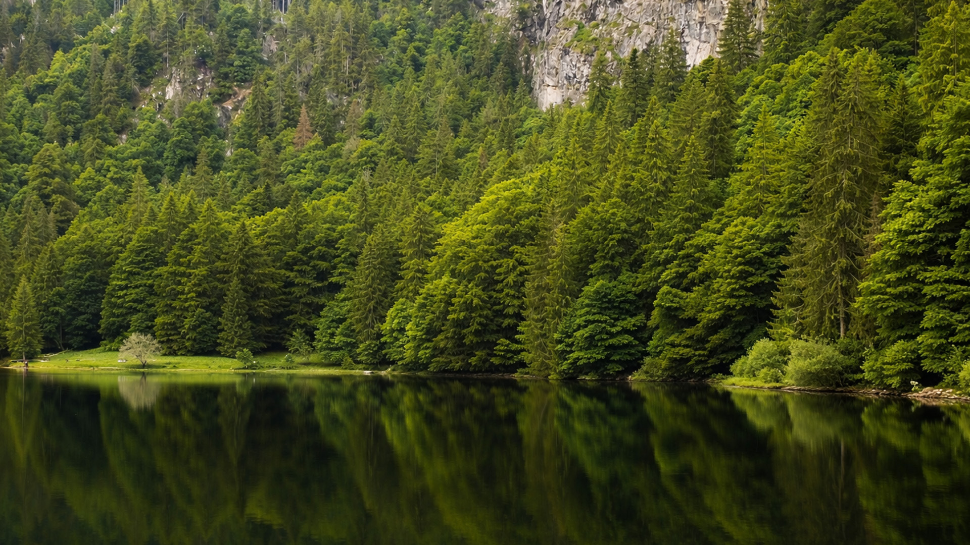 This lake reflects the entire forest