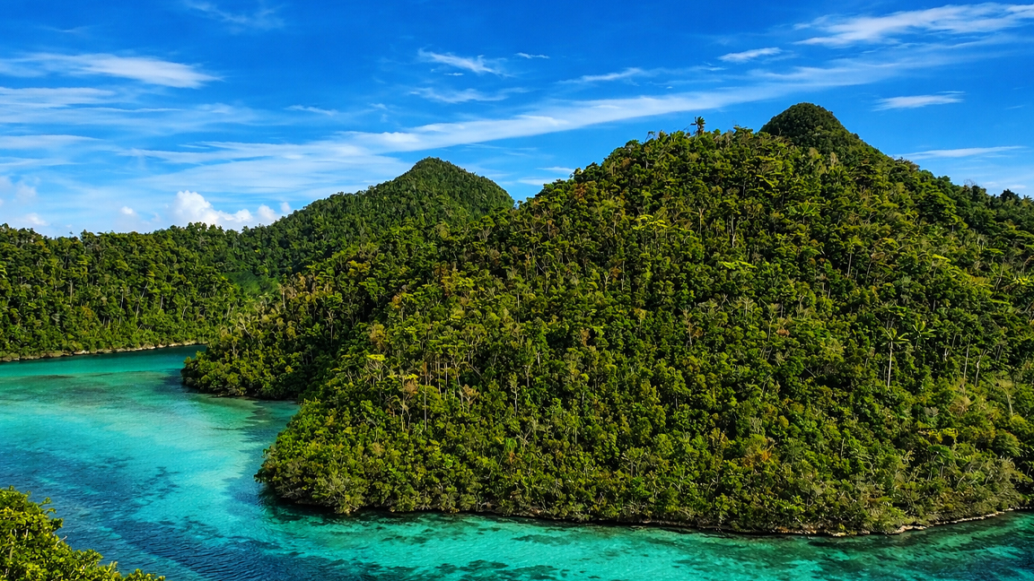 Hidden tropical landscape with dense forest and bright clear sea
