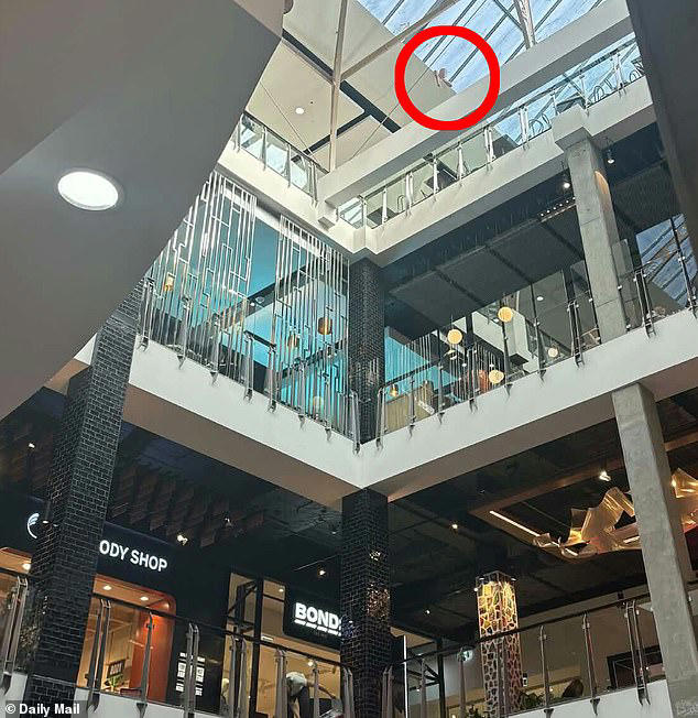 Emergency services rush to busy shopping centre as large area is ...
