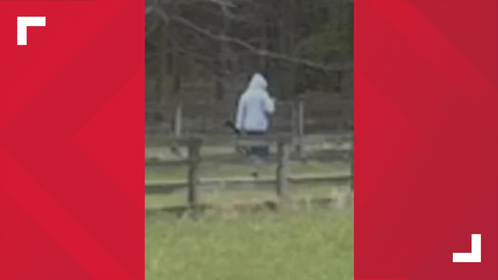 Search underway for armed suspect who broke into Rockingham County home ...