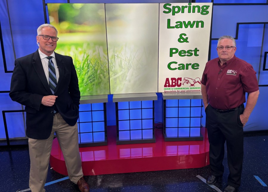 Spring lawn care tips: Central Texas & Brazos Valley style