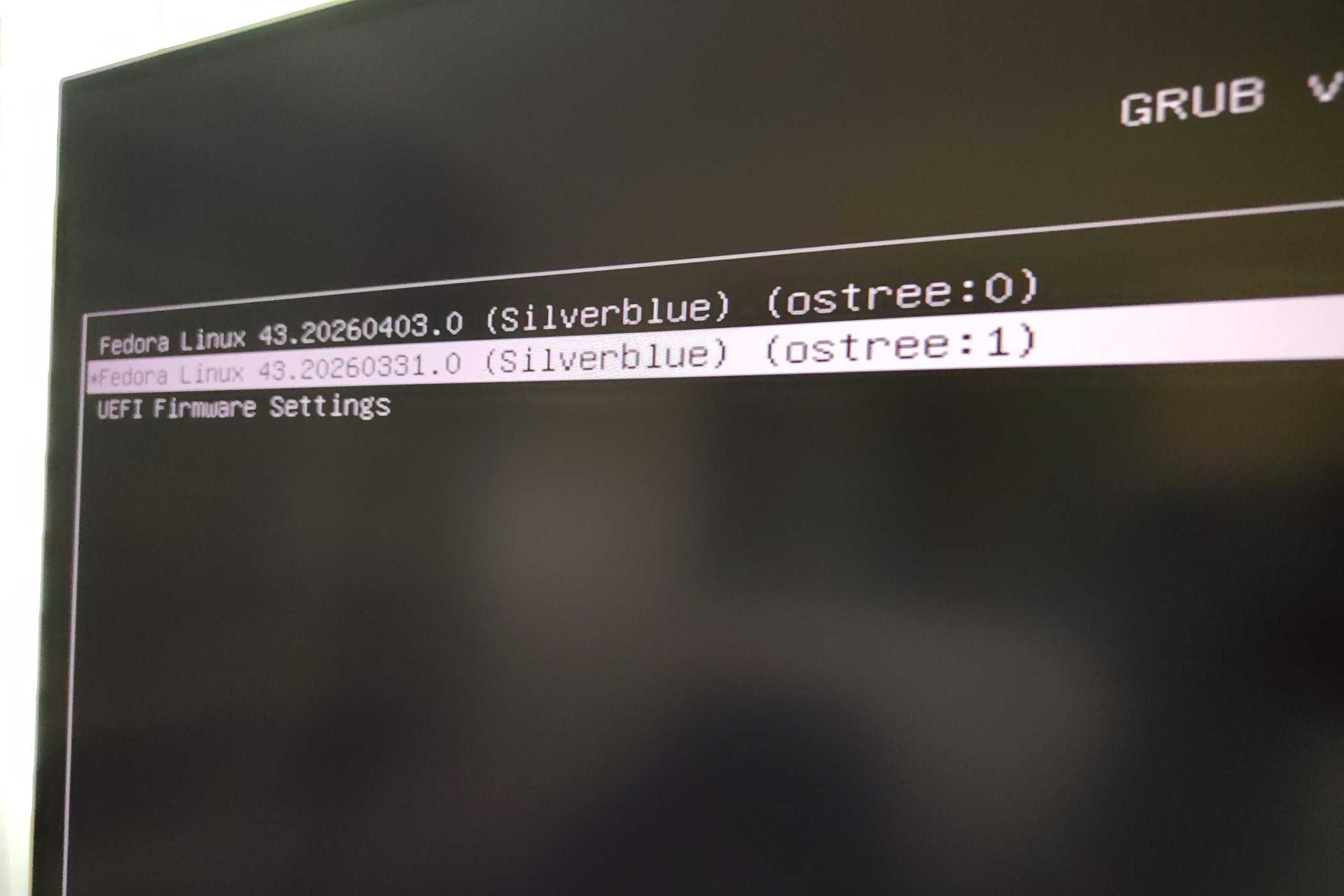 GRUB options on Fedora Silverblue.