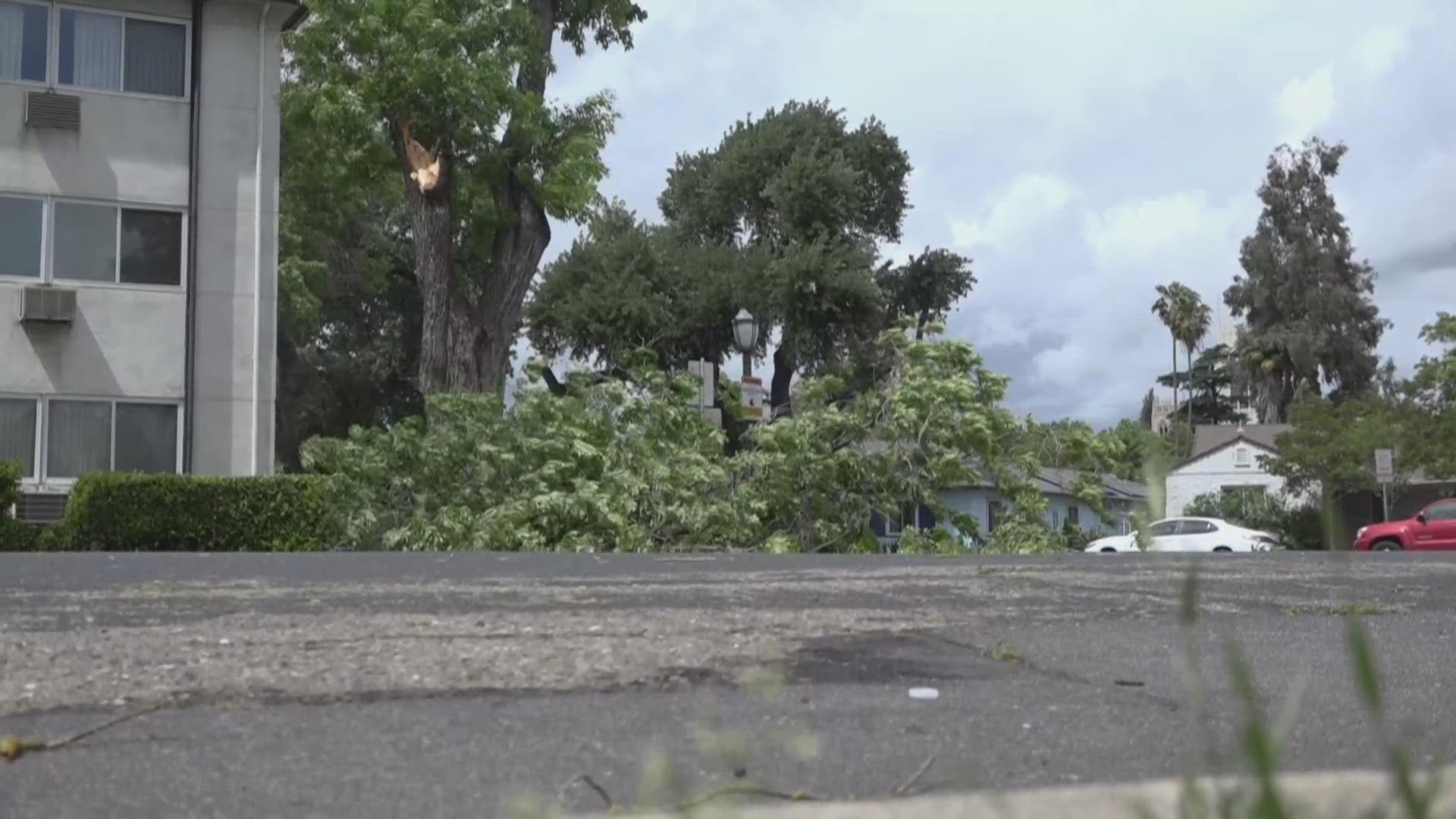 Stockton storm brings concerns of hail, wind, and even falling trees to ...