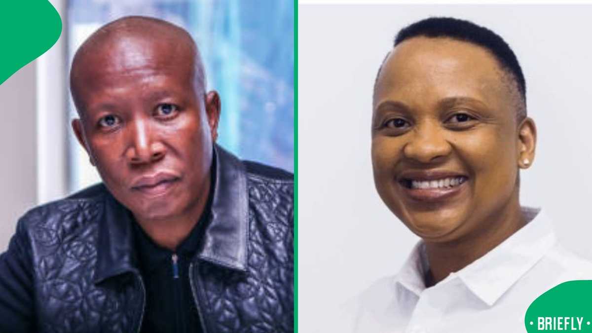 Jiulius Malema rejects Kheswa claims as unverified row escalates on X