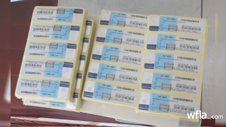 Tampa woman sentenced for trafficking Microsoft certificate of ...