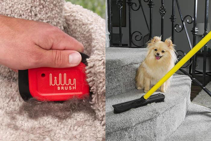 10 reviewer-approved tools that actually remove pet hair from your stuff