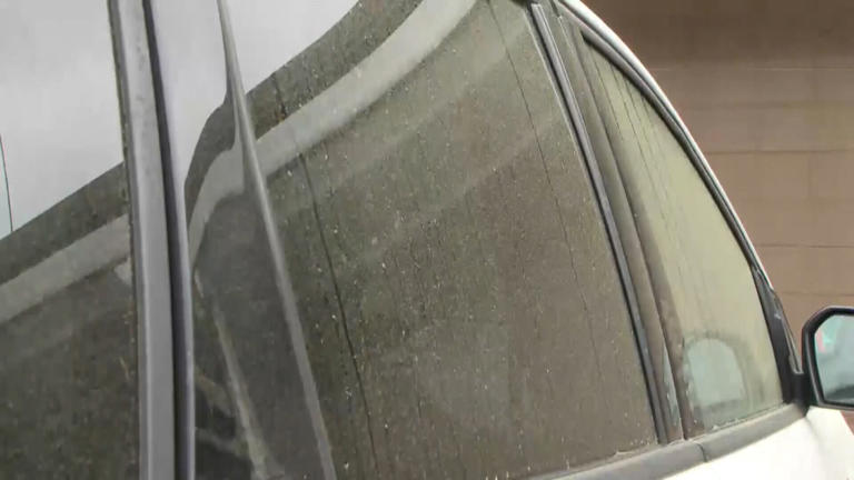Pollen: it’s not as bad as it seems