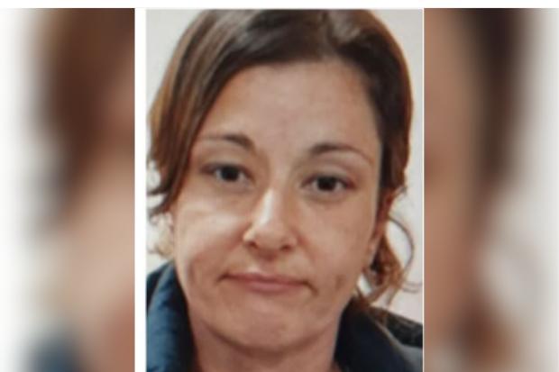 Search for missing woman last seen in Dorset continues