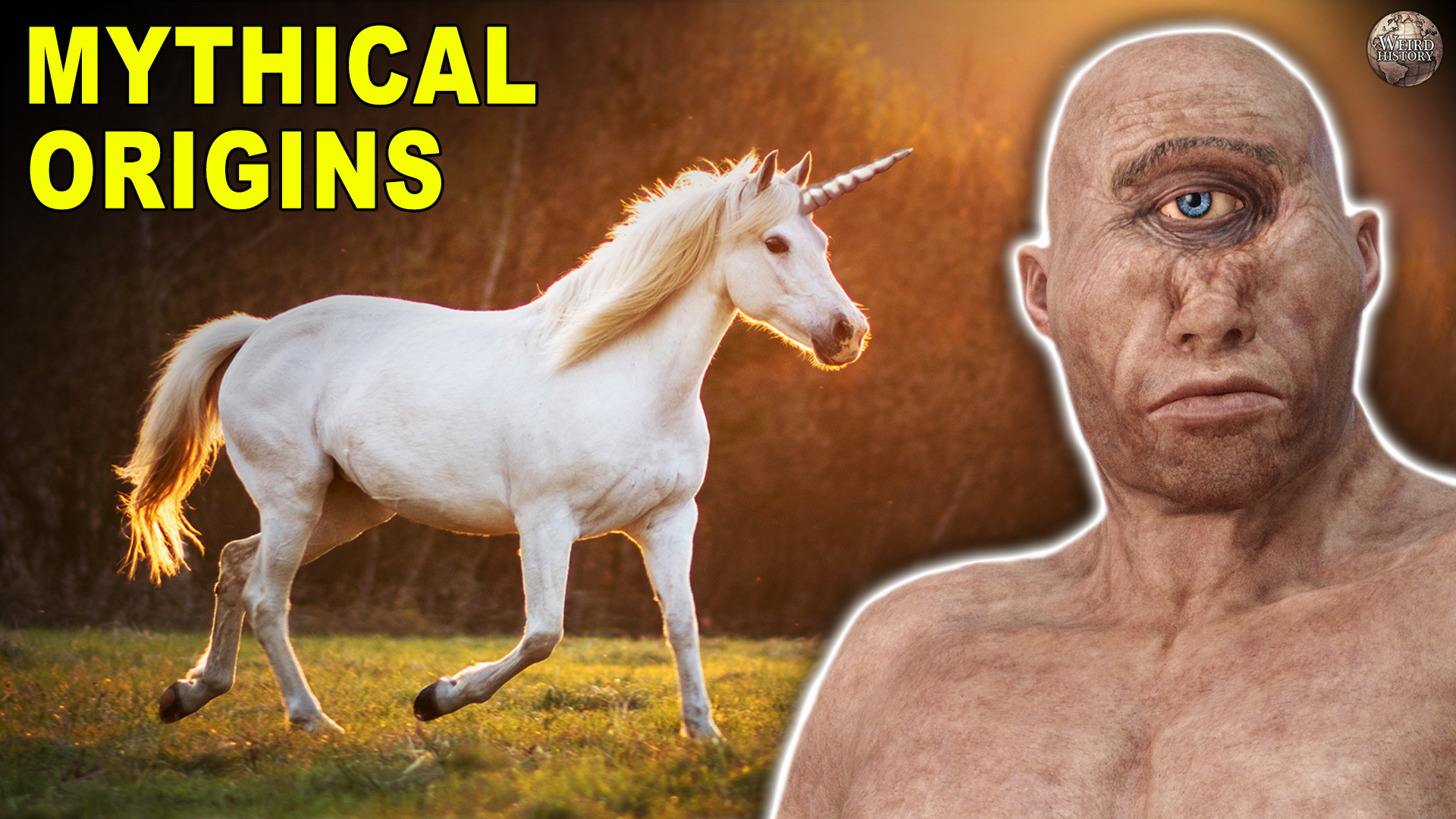 Real-life explanations for mythical creatures: surprising insights and ...