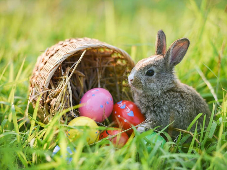 6 fun things to do this weekend in Bucks County