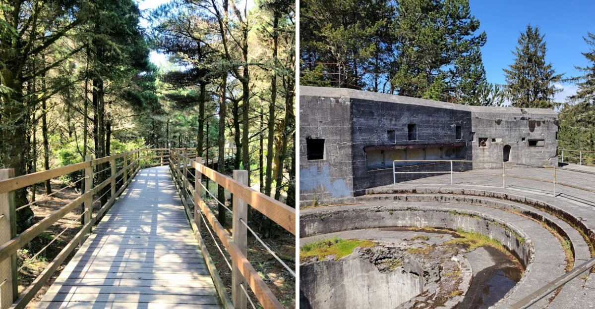 This haunted Oregon coastal hike is a spine-chilling trail for the ...