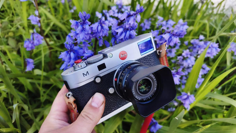 One camera, one lens: The simplest way to improve your photography?