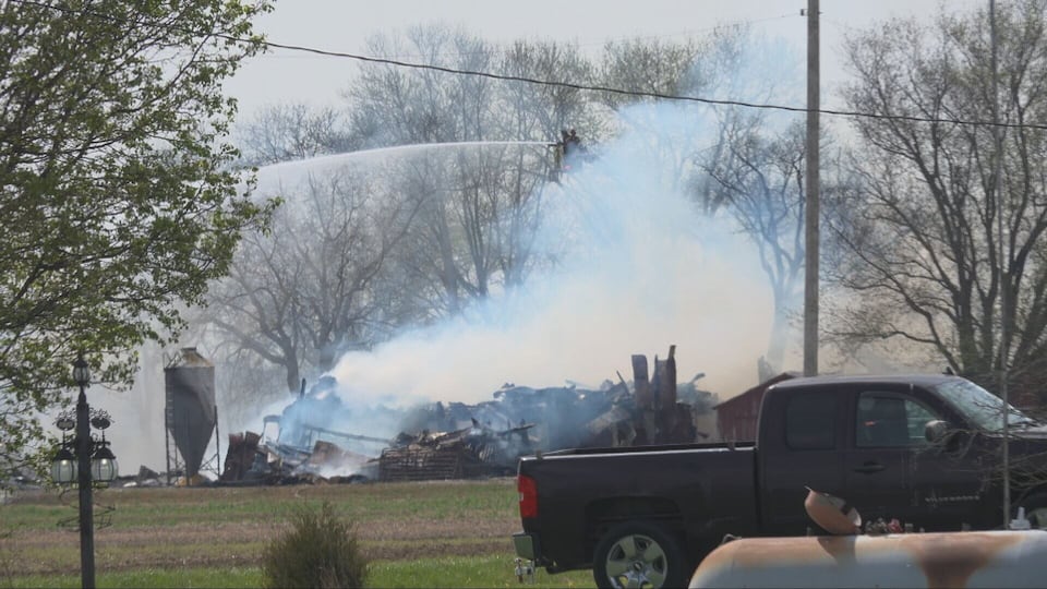 10 cows die, 2 barns considered total loss after massive fire in Trotwood