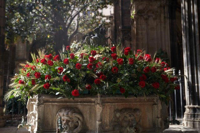 La Catedral de Barcelona abrirá el claustro a la ciudadanía por Sant Jordi