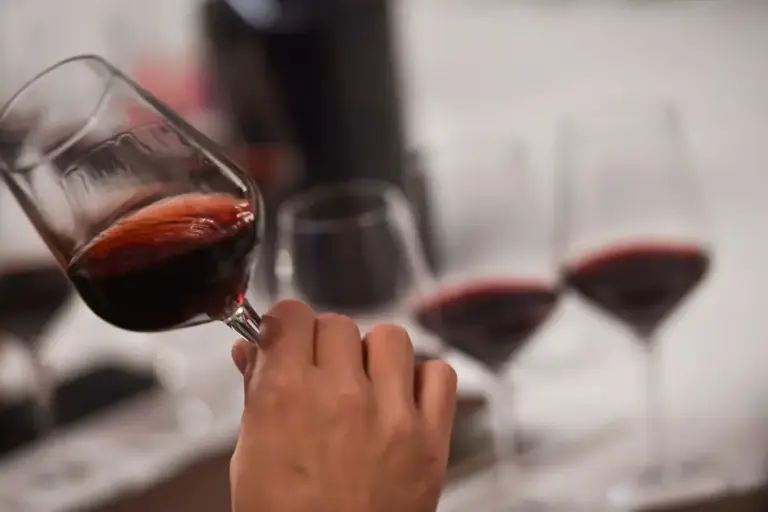 Dovremmo demonizzare il gin tonic piuttosto che il vino. Giovanni ...