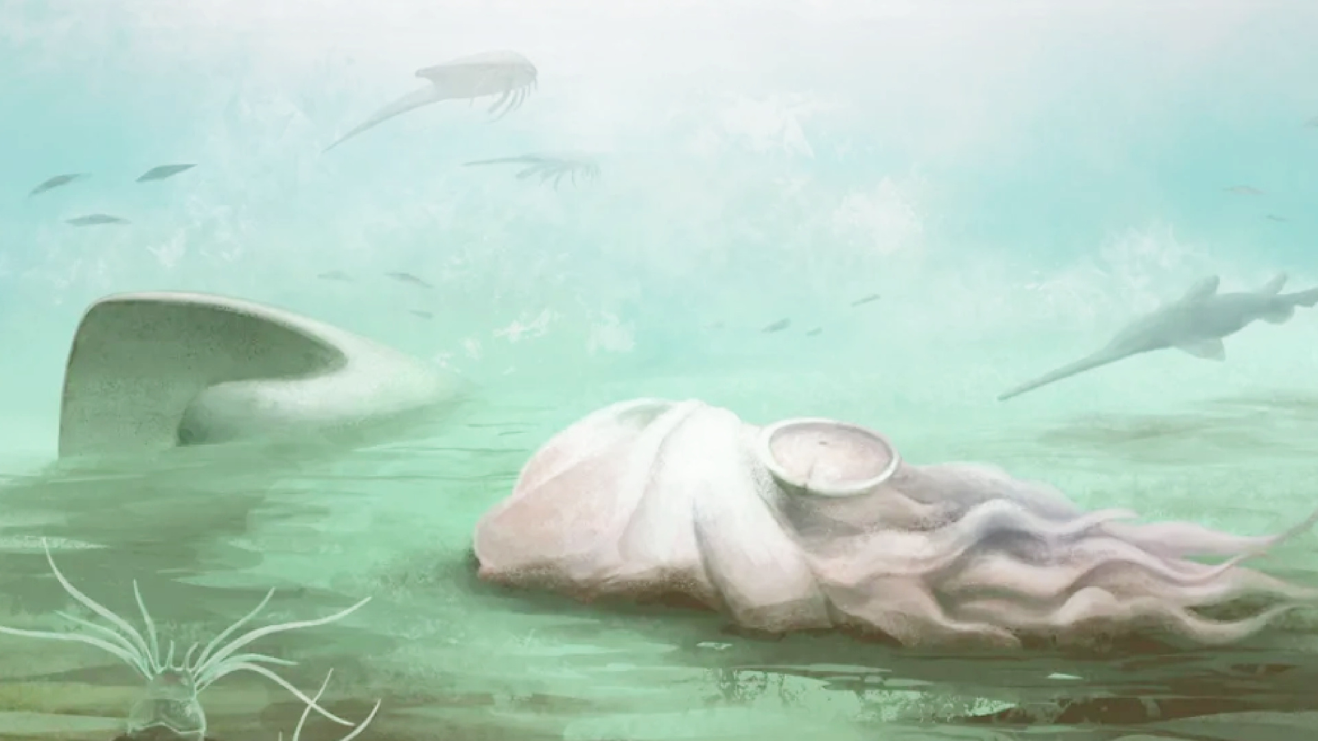 It wasn't an octopus: the scientific discovery that changes everything