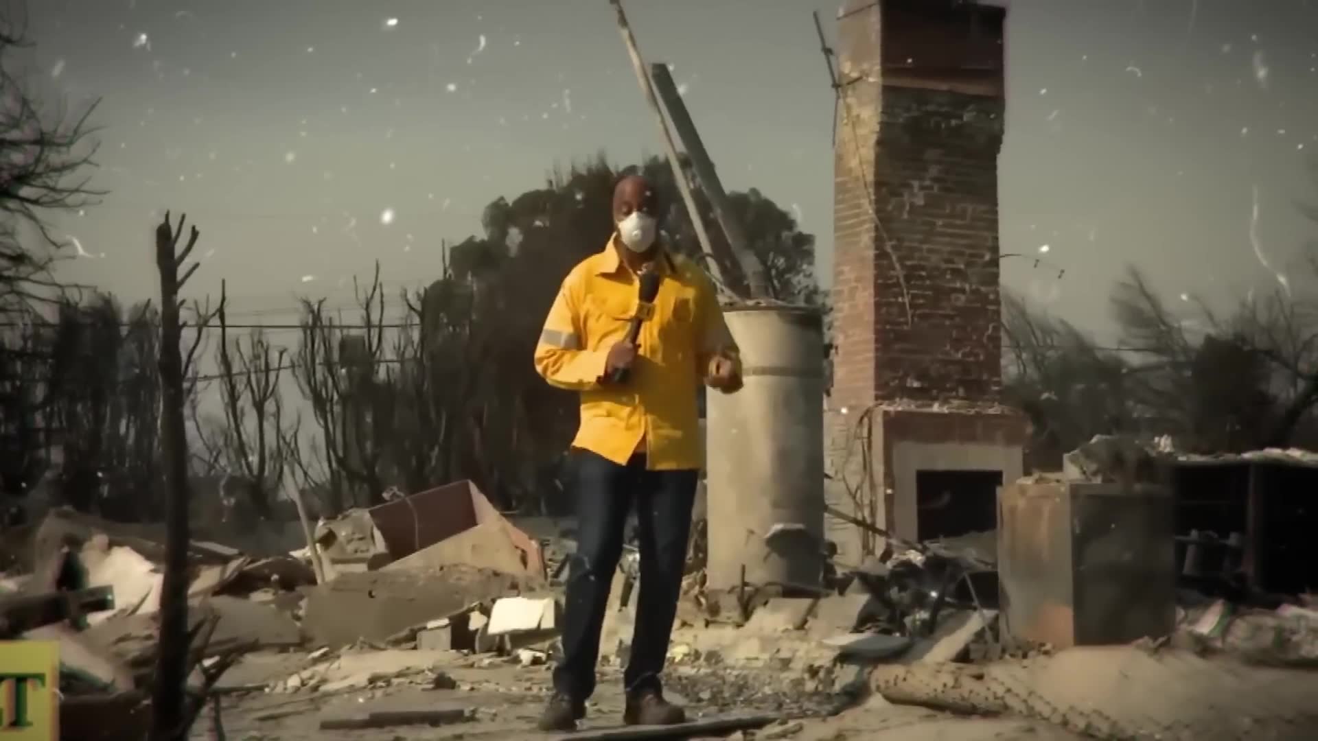Survival tactics when trapped in advancing forest fire without clear ...