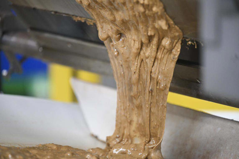 After 100+ years in Tacoma, Almond Roca releases new candy. Look inside ...
