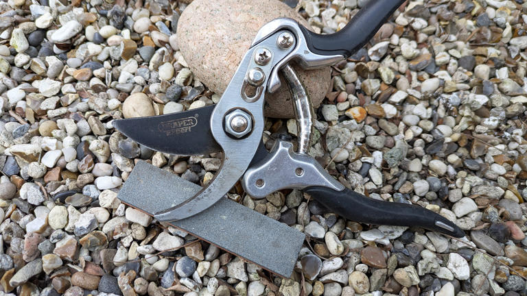I tried the viral aluminum foil trick to sharpen my dull pruners. Here ...