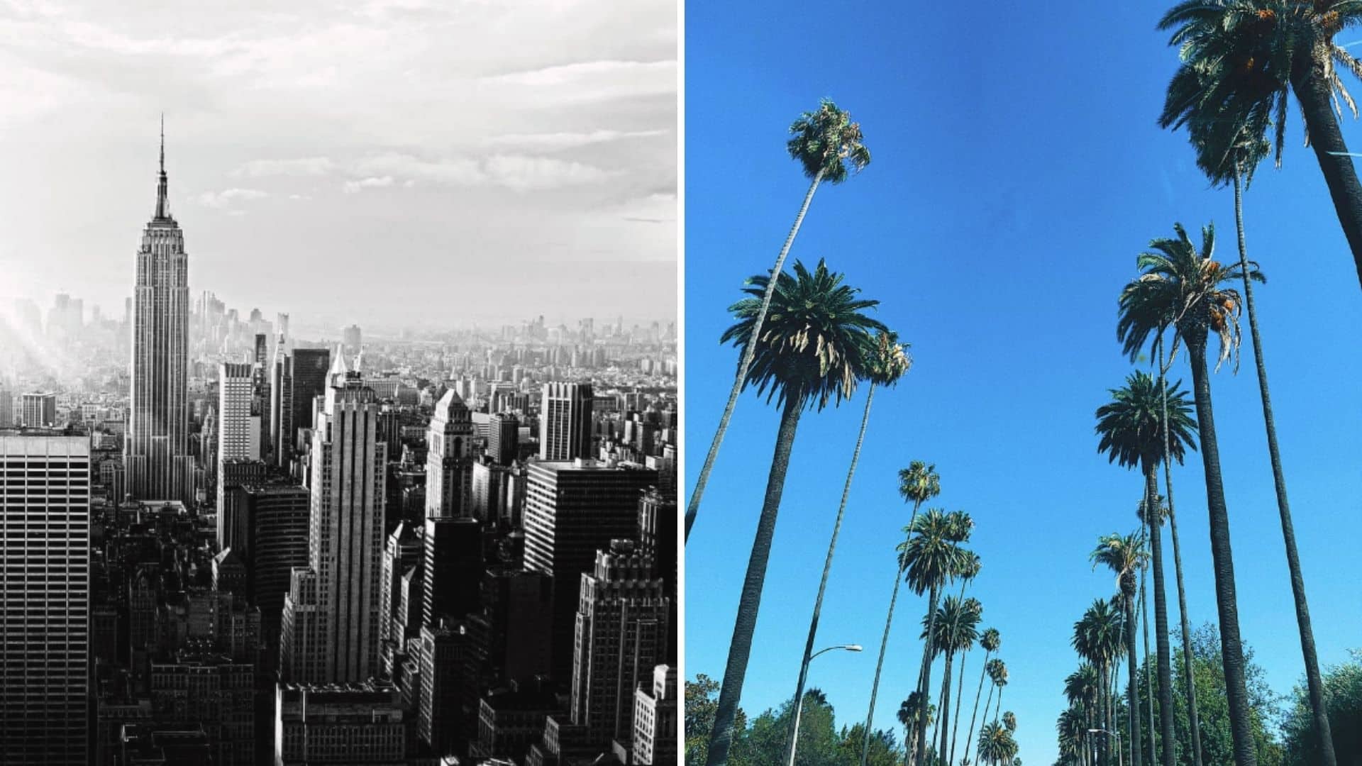 20 differences between America’s two most important cities