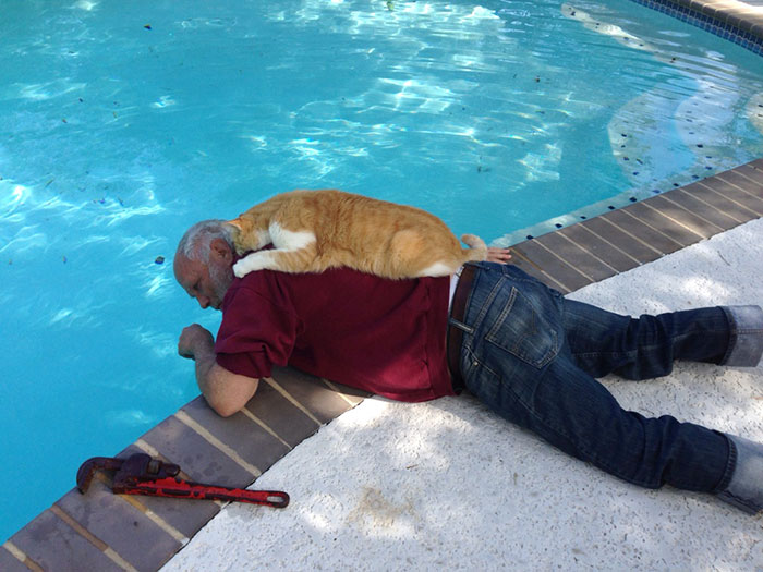30 Adorable Photos Of Cat Dads And Their Furry Friends