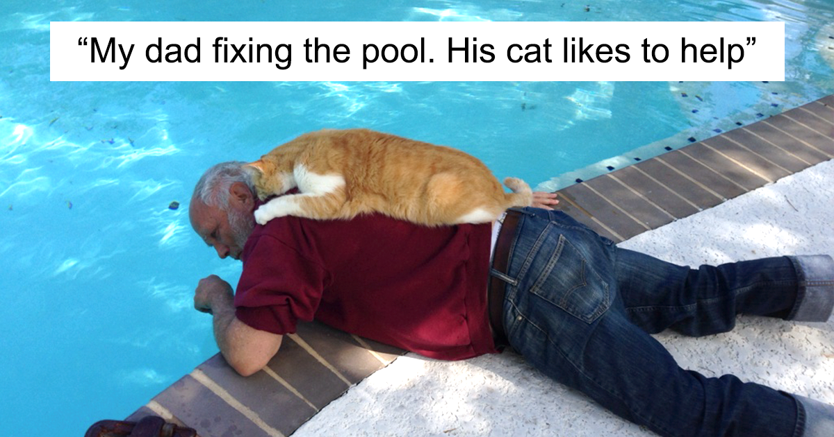 30 Adorable Photos Of Cat Dads And Their Furry Friends