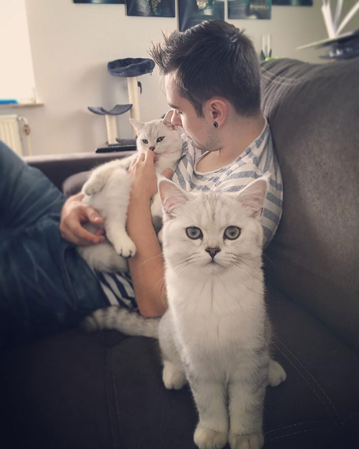 30 Adorable Photos Of Cat Dads And Their Furry Friends