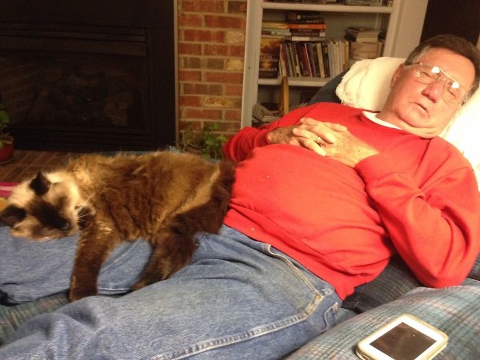 30 Adorable Photos Of Cat Dads And Their Furry Friends