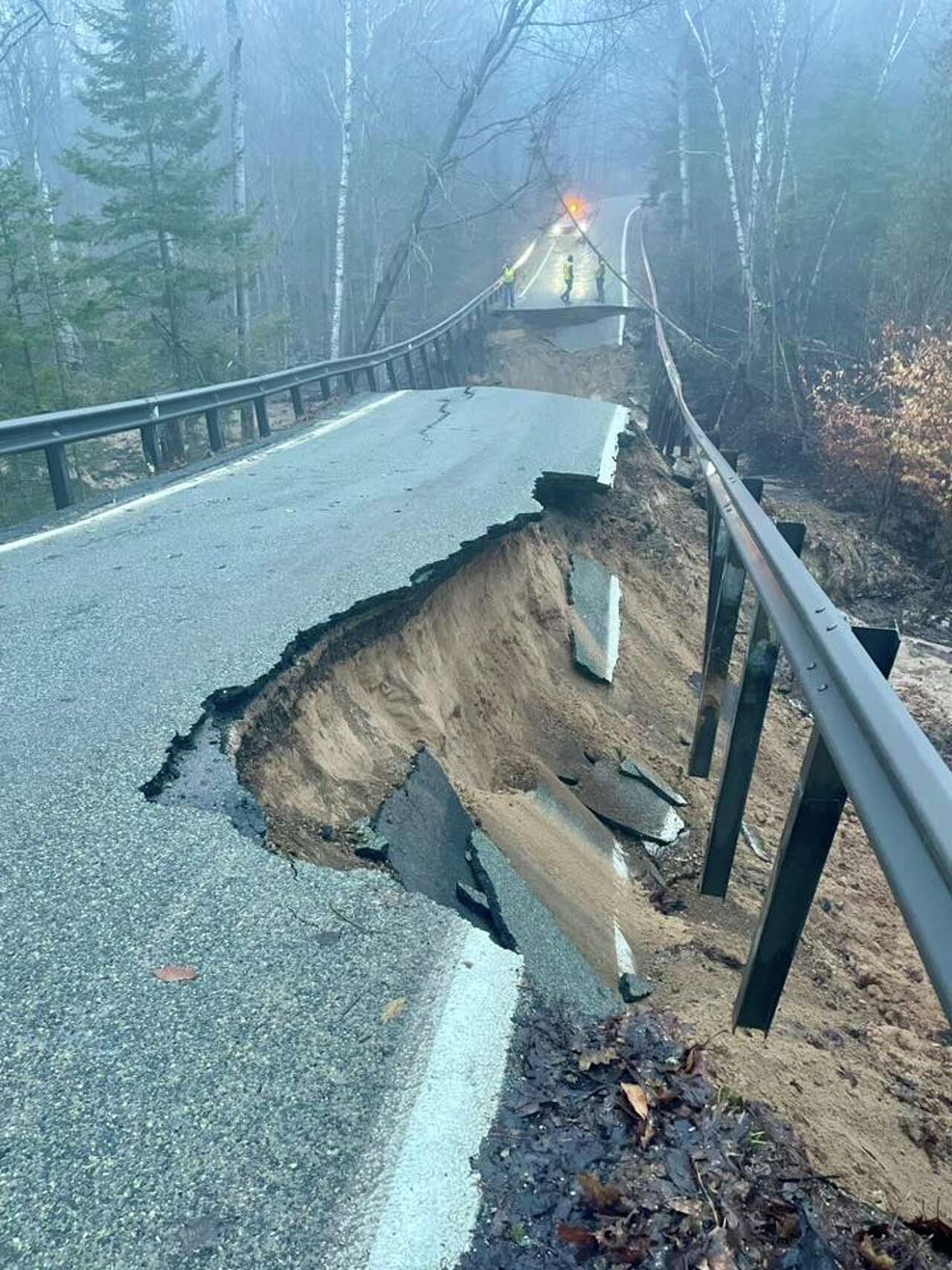 Spring erosion causes collapse along iconic tunnel of trees route in ...