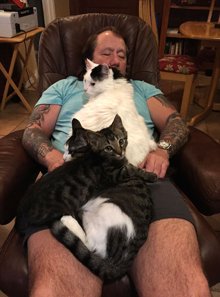 30 Adorable Photos Of Cat Dads And Their Furry Friends