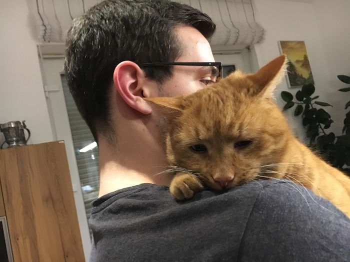 30 Adorable Photos Of Cat Dads And Their Furry Friends