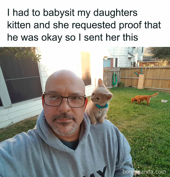 30 Adorable Photos Of Cat Dads And Their Furry Friends
