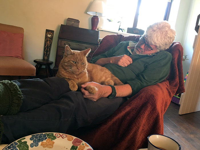 30 Adorable Photos Of Cat Dads And Their Furry Friends