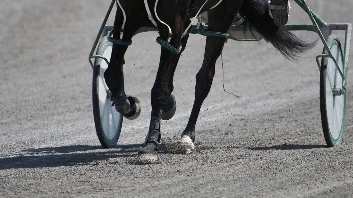Top harness driver Brett Beckwith taken to hospital after pre-race accident