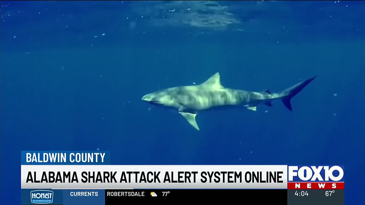 Alabama shark attack alert system goes live