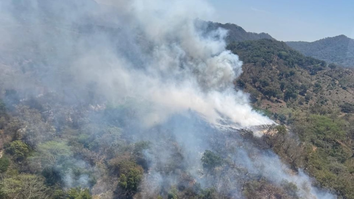 Suspenden clases en comunidades de Jalisco hoy 13 de abril por alerta ...