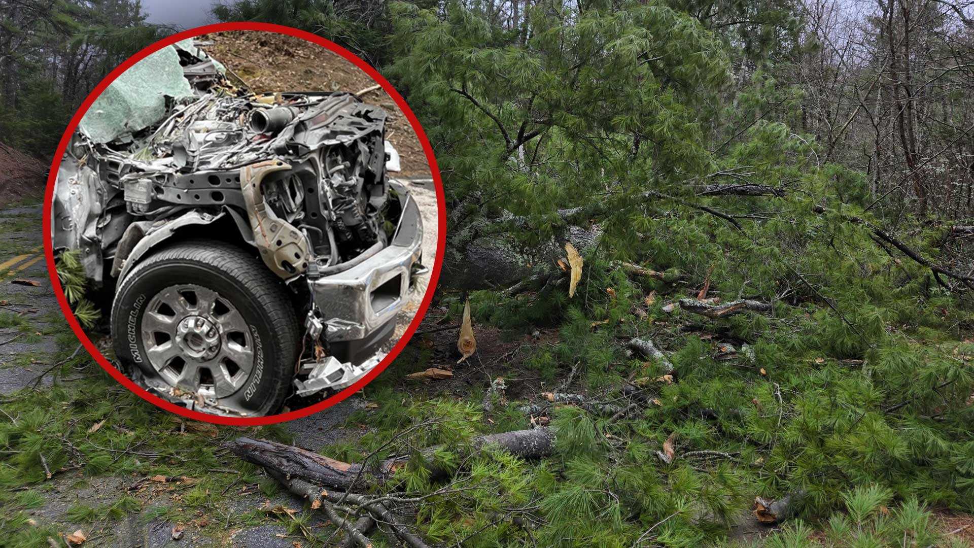 New video shows moments after tree falls on pickup truck in Mass ...