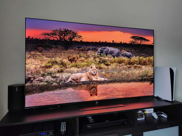 Best OLED TVs of 2026