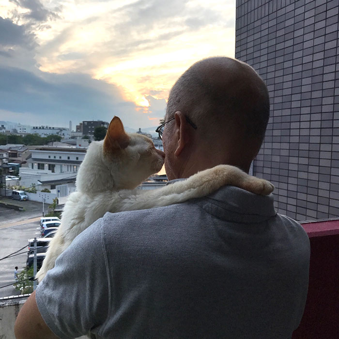 30 Adorable Photos Of Cat Dads And Their Furry Friends