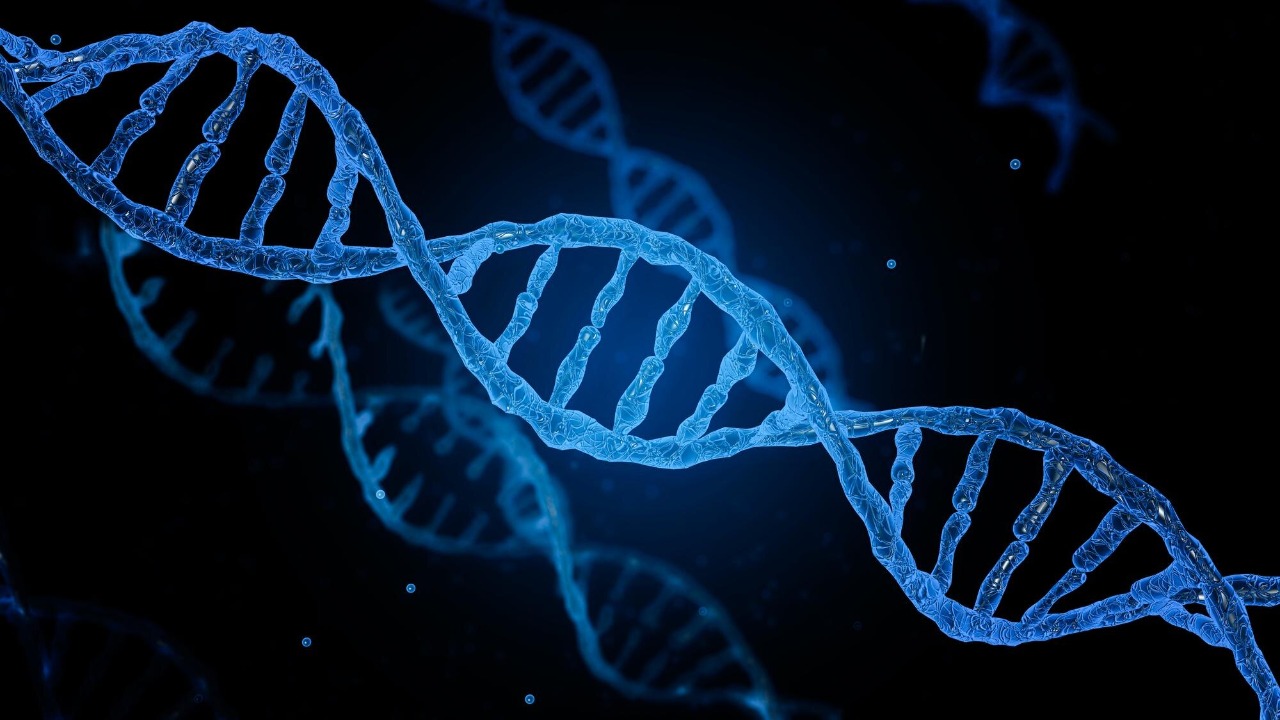 Researchers develop DNA encryption to secure engineered cells from ...