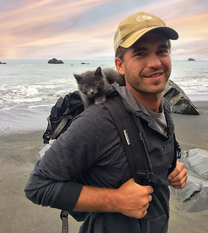 30 Adorable Photos Of Cat Dads And Their Furry Friends