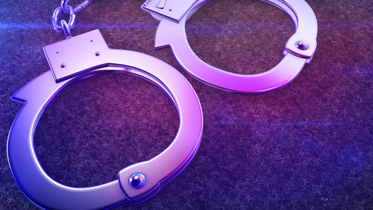 Gwinnett County man arrested for allegedly assaulting elderly mother ...