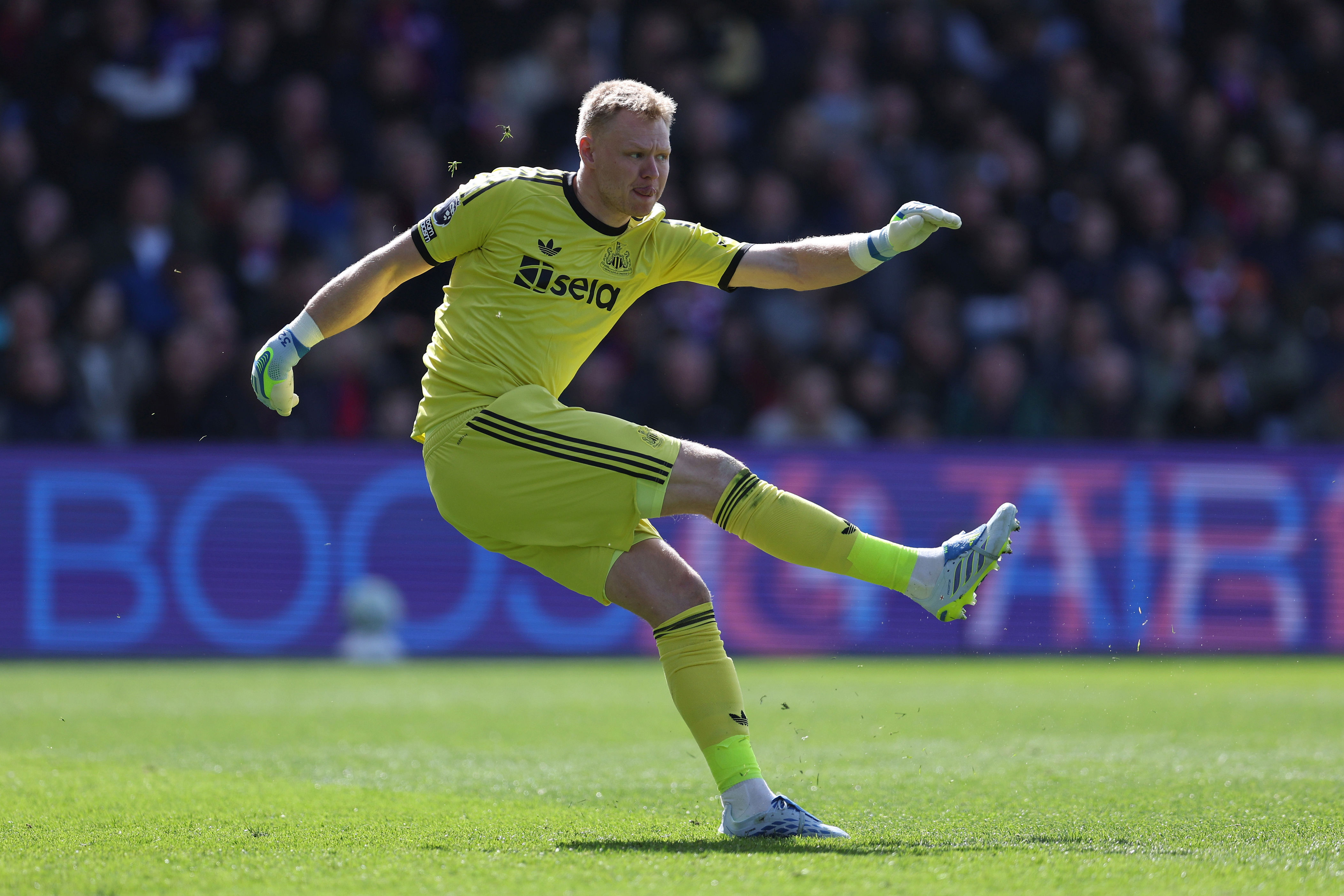 'Dominated' - Newcastle United star delivers confused verdict that will ...