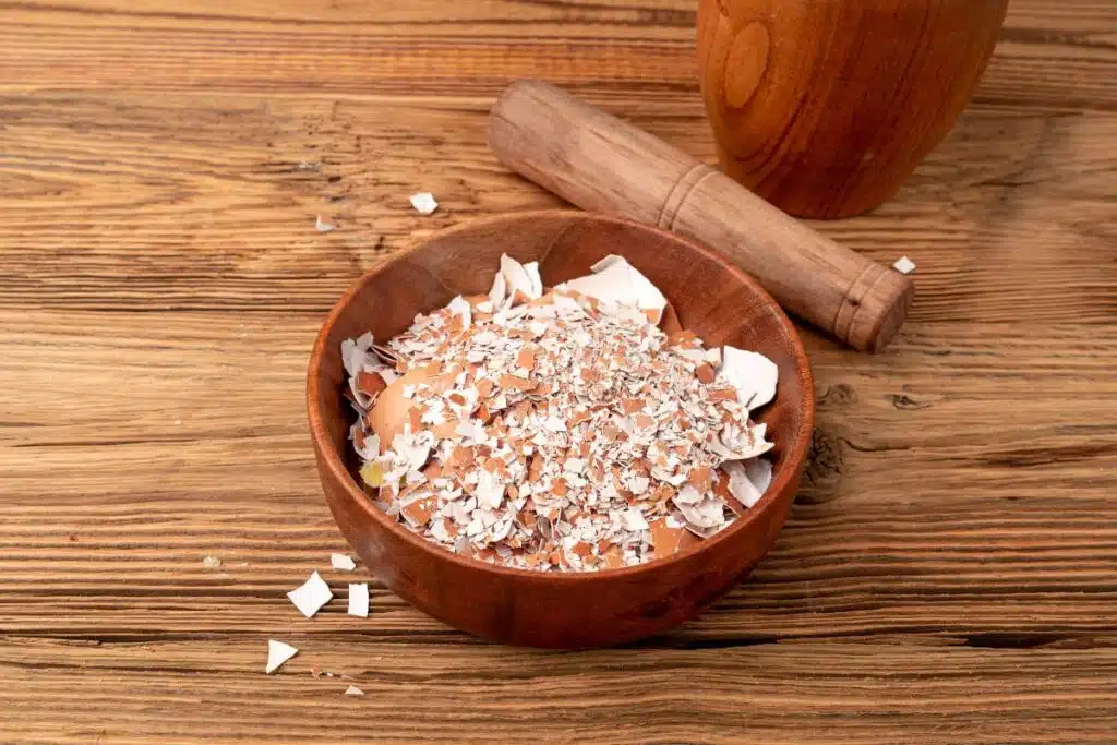 7 surprising things you can (and can’t) compost in your backyard